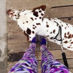My love affair with Lorna Jane