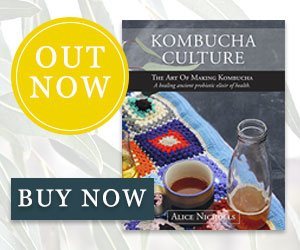 Make your own kombucha!