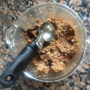 Bliss Balls -1