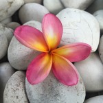 Relaxation…on purpose